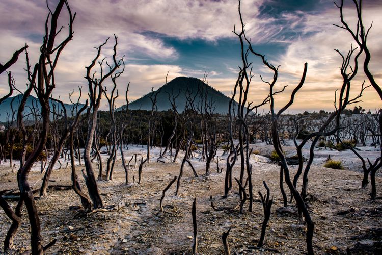 Gunung Papandayan