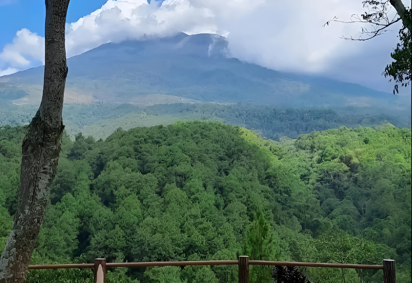 Pemandangan Gunung Ciwaru